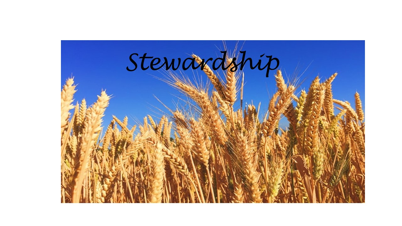 Stewardship in Giving